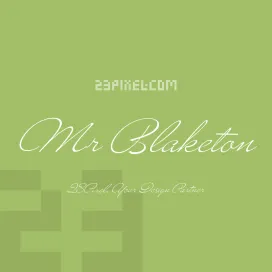 Mr Blaketon